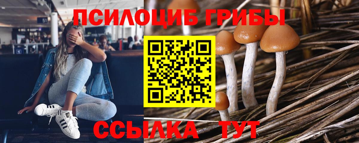 Тимашёвск  Псилоцибиновые грибы Magic Shrooms  Вход с VPN 