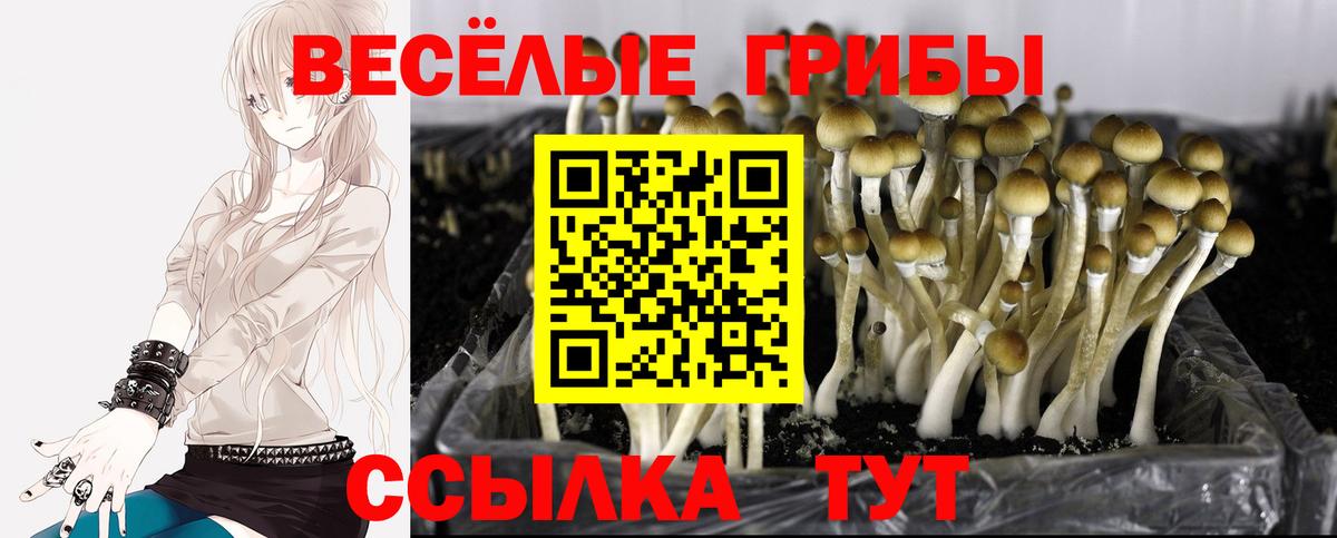 Галлюциногенные грибы мицелий Тимашёвск