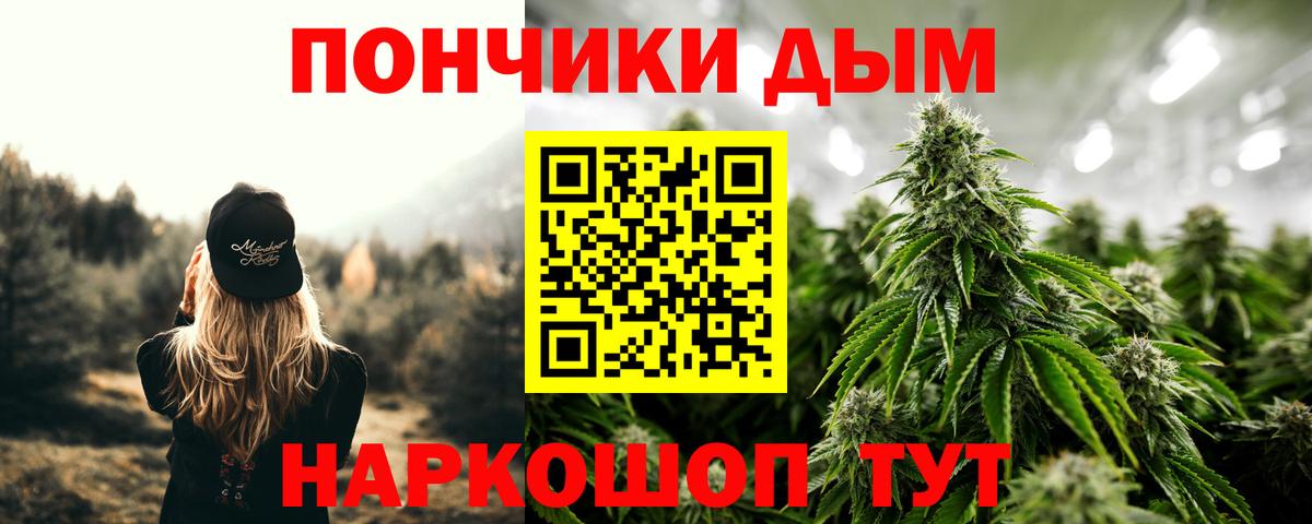 Шишки марихуана семена Тимашёвск
